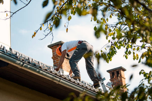 Professional Roofing Contractor in Marion, OH