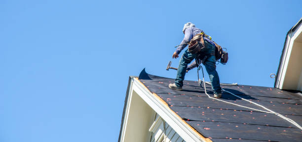 Best Roof Gutter Cleaning  in Marion, OH